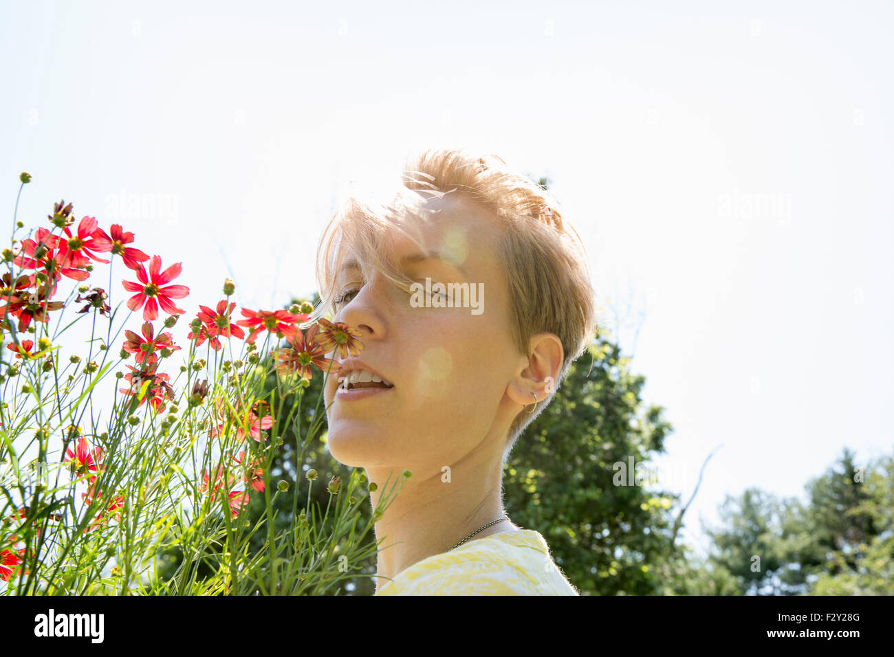 Eine junge Frau in eine Blume Grenze, Angesicht zu Angesicht mit Palette Rudbekia Blumen. Stockfoto