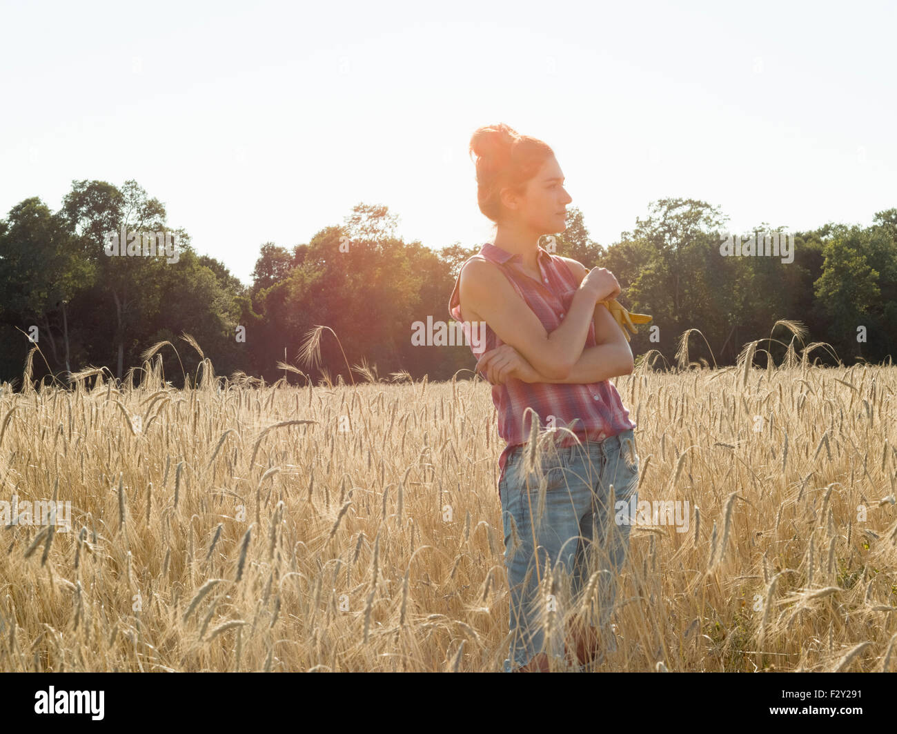 Junge Frau trägt ein kariertes Hemd steht in einem Maisfeld. Stockfoto