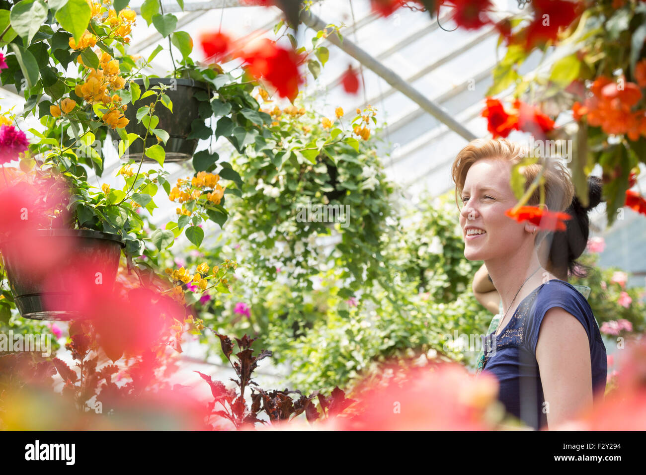 Junge Frau bunt blühenden Pflanzen in hängenden Körben in ein Gartencenter zu betrachten. Stockfoto