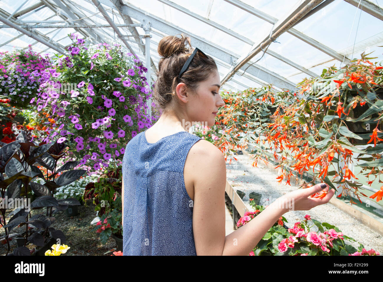Junge Frau betrachten bunt blühende Pflanzen in einem Garten-Center. Stockfoto