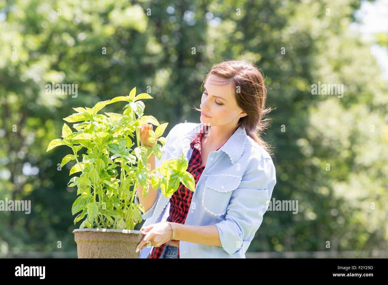 Eine junge Frau in einem Garten tendenziell eine Pflanze in einen Topf geben. Stockfoto