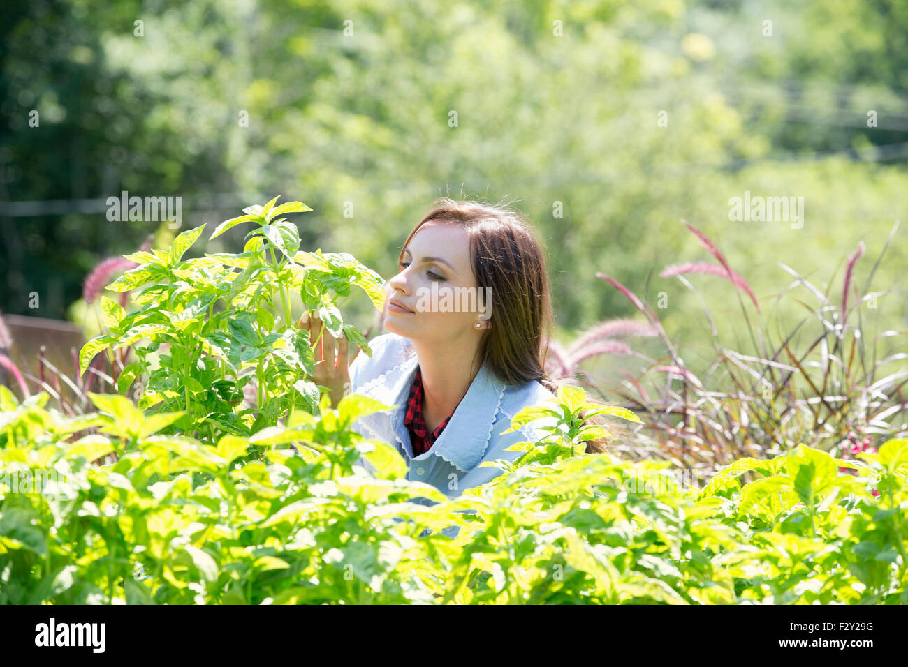 Eine junge Frau im freien umgeben von Pflanzen. Stockfoto