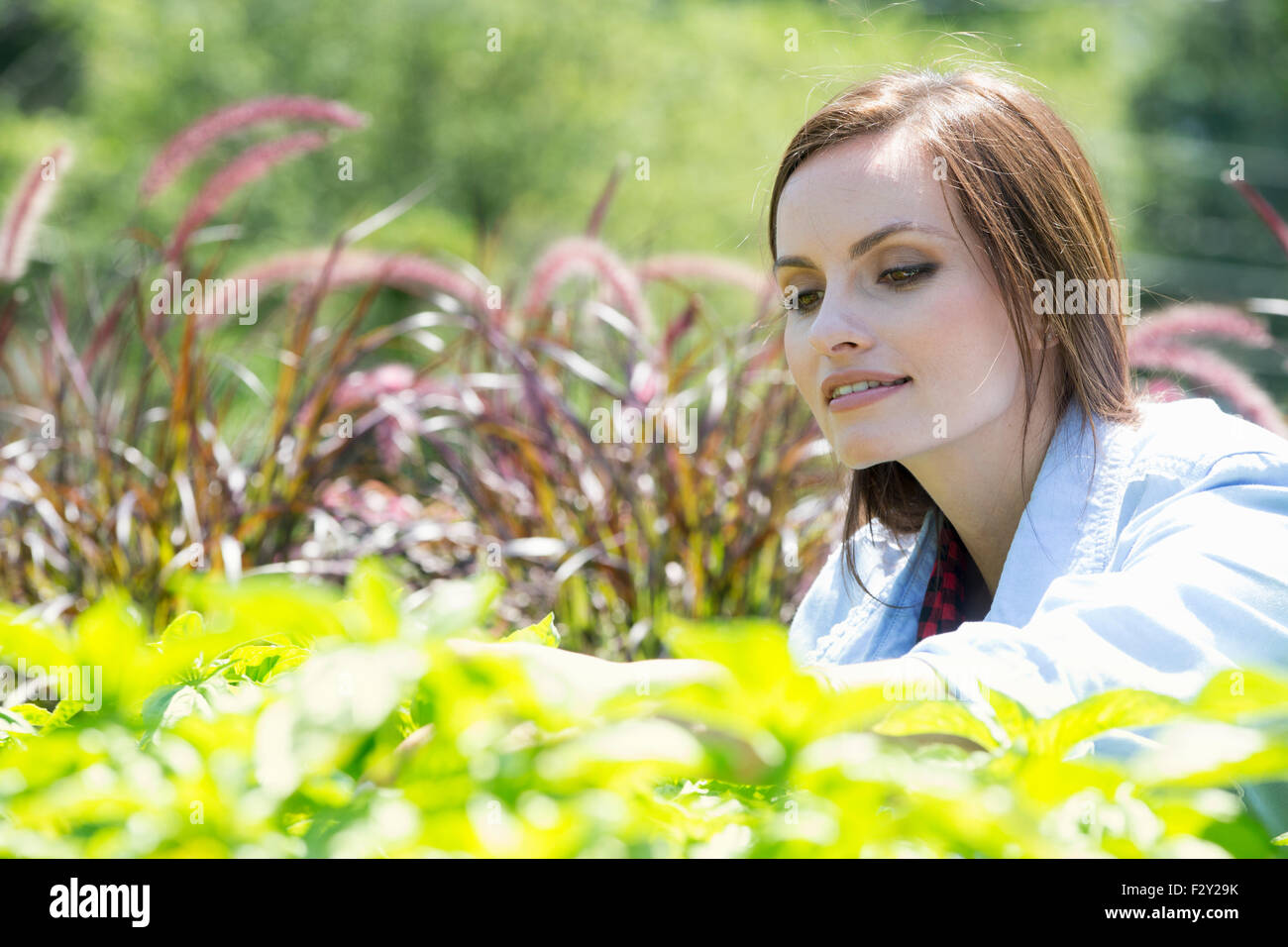 Eine junge Frau in einen Garten Prüfung wachsenden Pflanzen. Stockfoto
