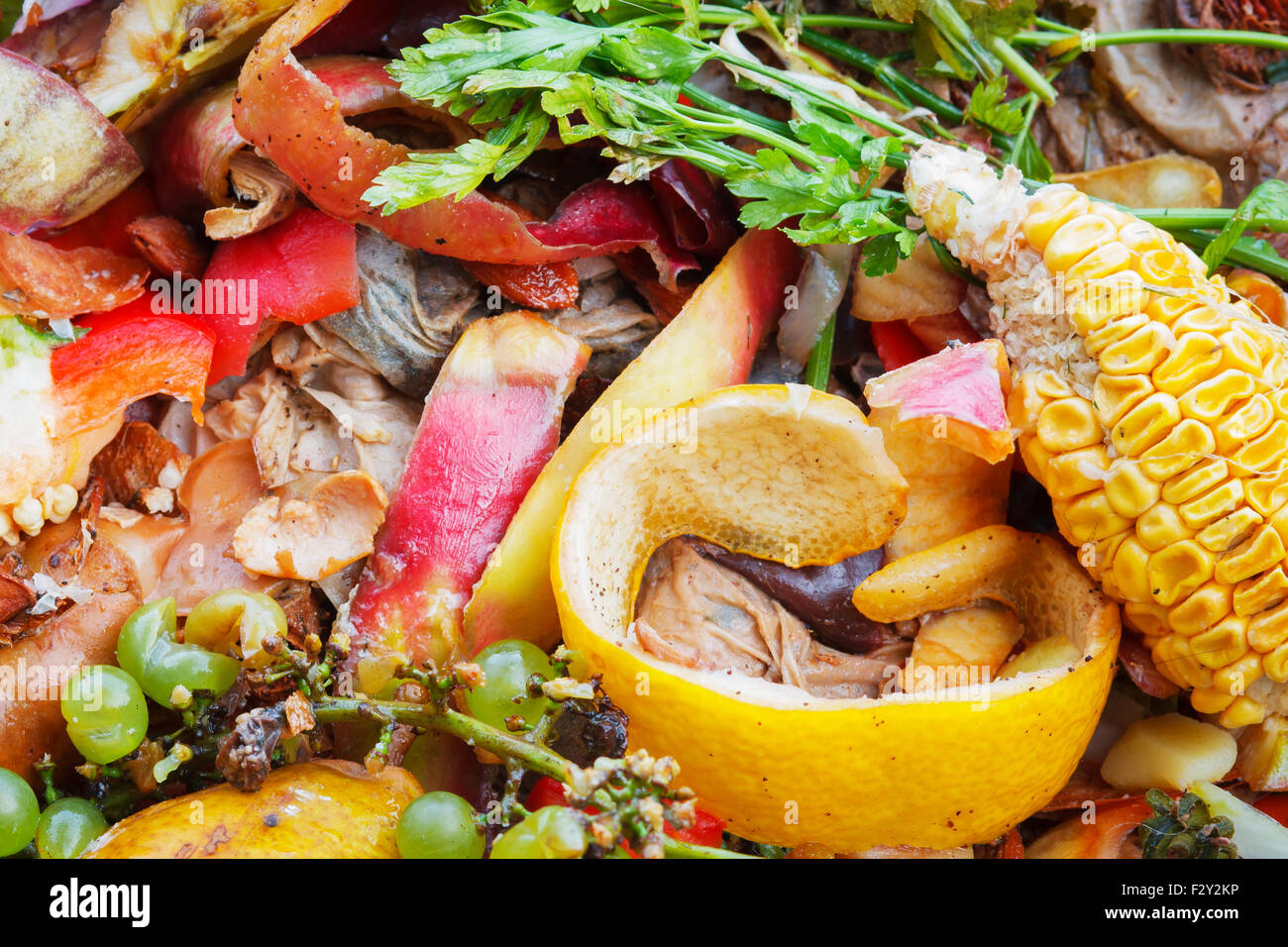 Kompost im Garten. Kompostierung Haufen verwesender Küche Obst und Gemüse Fetzen Stockfoto