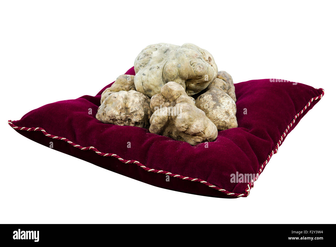 Weiße Trüffel auf roten Kissen isoliert auf weiss Stockfoto