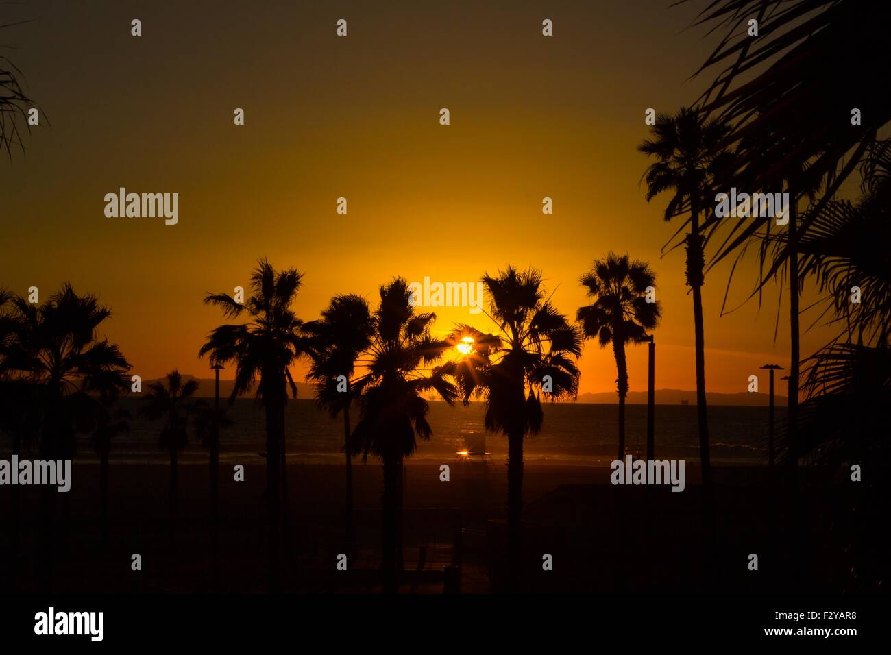 California Beach Sonnenuntergang mit Palmen. Reihe von Bäumen mit der Sonne durch das Spähen. Lifeguard Station auf Huntington Beach. Stockfoto