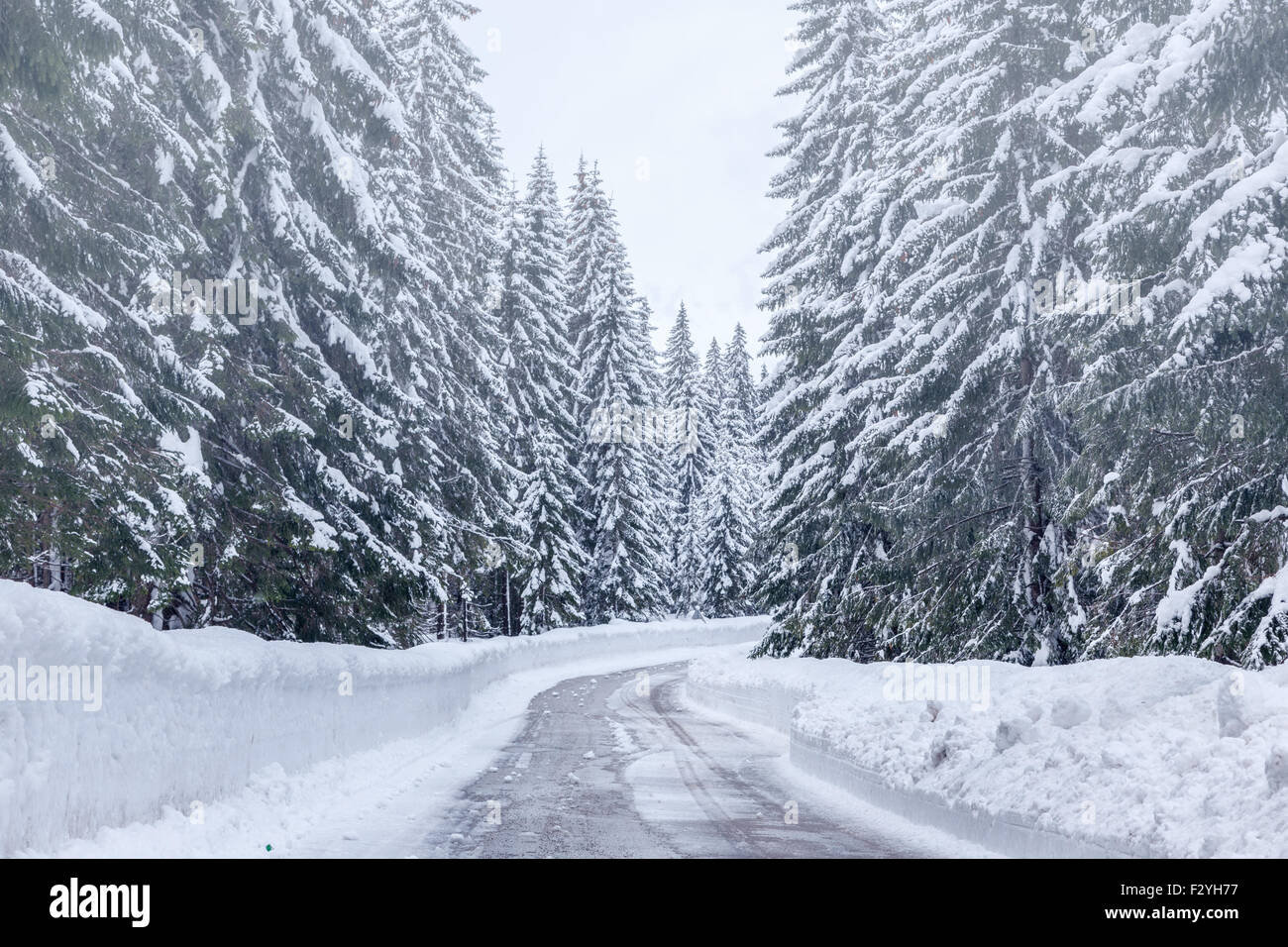 Verschneiten Winter-Straße in Julian Alpen-Slowenien Stockfoto