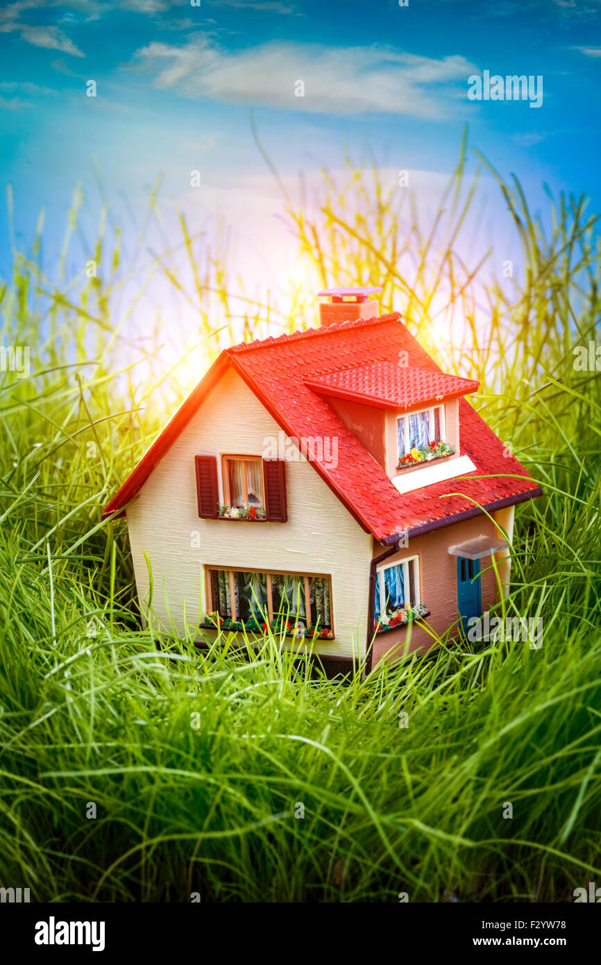 Kleines Haus auf dem grünen Rasen Stockfoto