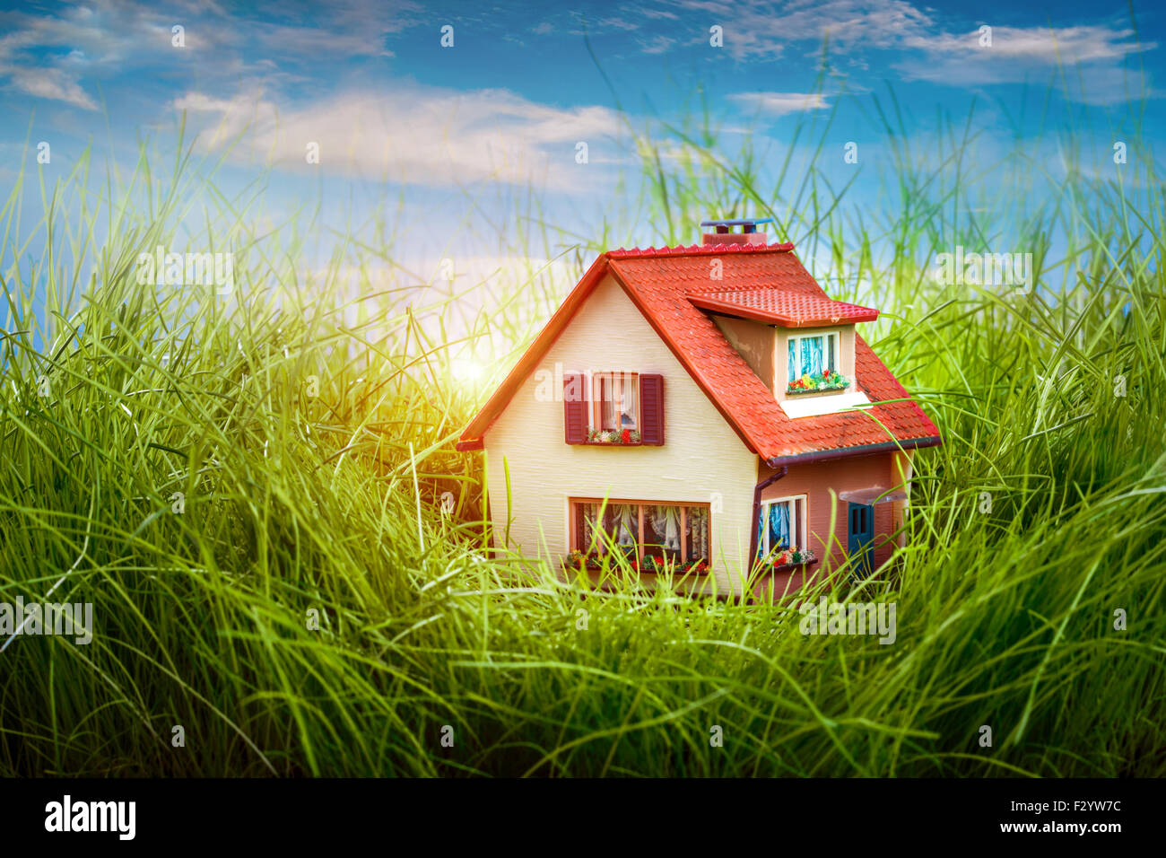 Kleines Haus auf dem grünen Rasen Stockfoto