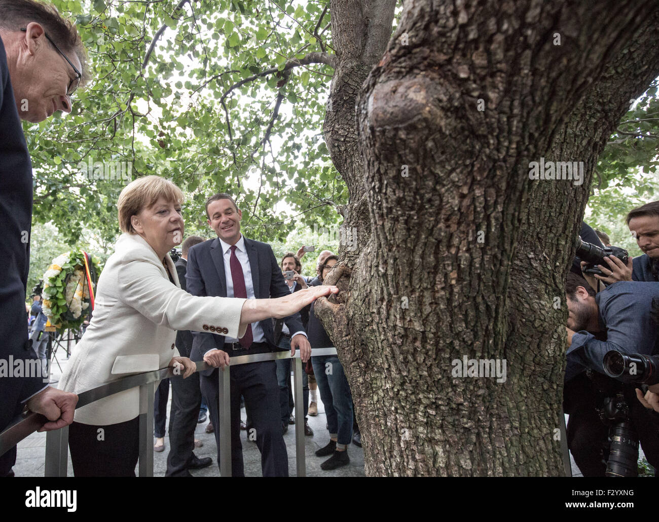 New York, USA. 26. Sep 2015. Bundeskanzlerin Angela Merkel sieht der Überlebende Baum am Ground Zero Denkmal mit Joe Daniels, geschäftsführender Direktor der Gedenkstätte, stand neben ihr, in New York, USA, 26. September 2015. Merkel besucht die Gedenkstätte und das Museum mit Michael Bloomberg (unsichtbaren), Präsident des Museums, und legen einen Kranz auf dem Survivor-Baum. Merkel ist bei einem dreitägigen Besuch in New York, USA, die Vereinten Nationen (UN) Nachhaltigkeitsgipfel besuchen. Foto: MICHAEL KAPPELER/Dpa/Alamy Live News Stockfoto