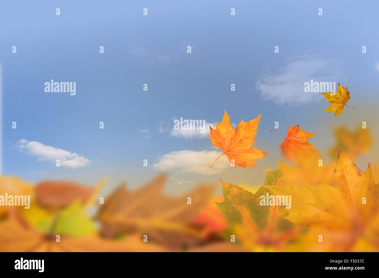 Herbst Hintergrund Stockfoto Herbst Hintergrund Stockfoto