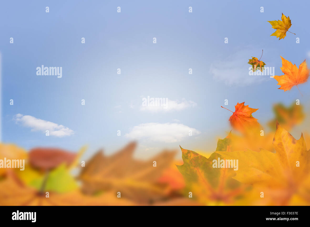 Blätter und Himmel des Herbstes Stockfoto Blätter und Himmel des Herbstes Stockfoto