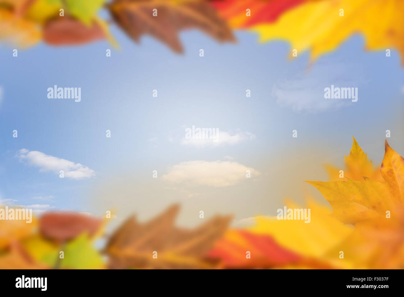 Herbst Hintergrund Textfreiraum Stockfoto Herbst Hintergrund Textfreiraum Stockfoto