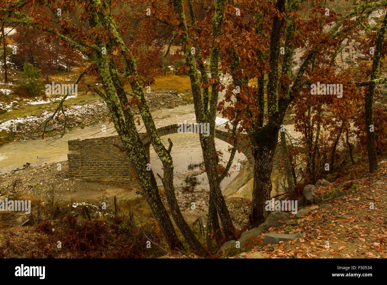 Steinbrücke über den Fluss Venetikos in der Präfektur Grevena, in dem griechischen Festland. Stockfoto
