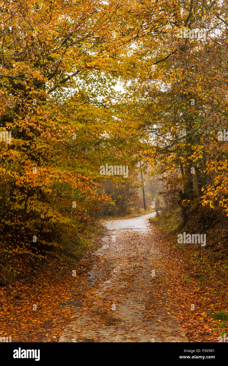 Schönen Herbstfarben in Griechenland. Stockfoto