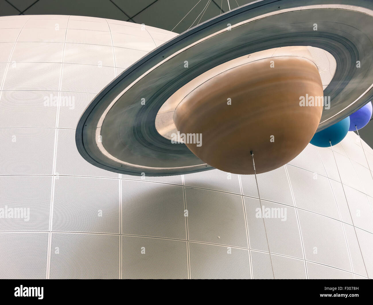 American Museum of Natural History, New York Stockfoto