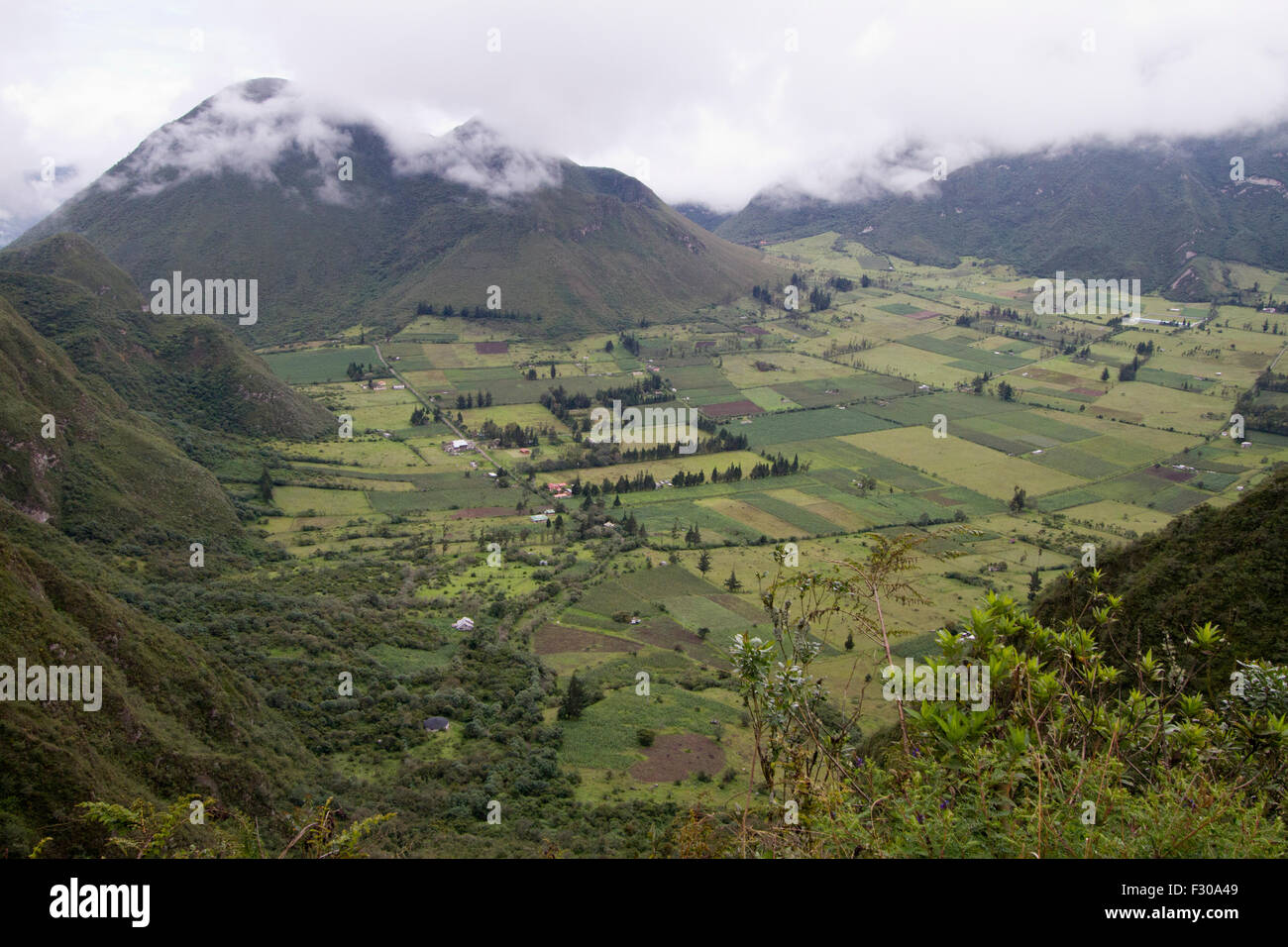 Reserva Geobotánica Pululahua ist ein geschützter Bereich um Pululuhua Vulkan im Norden von Quito, Provinz Pichincha, Ecuador Stockfoto