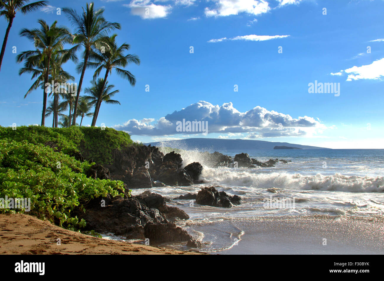 Tropischen hawaiianischen Strand mit Palmen, Maui, Hawaii. Malerische Reiseziel Lage. Schönen natürlichen Strand Meer. Spaß und Sonne. Stockfoto