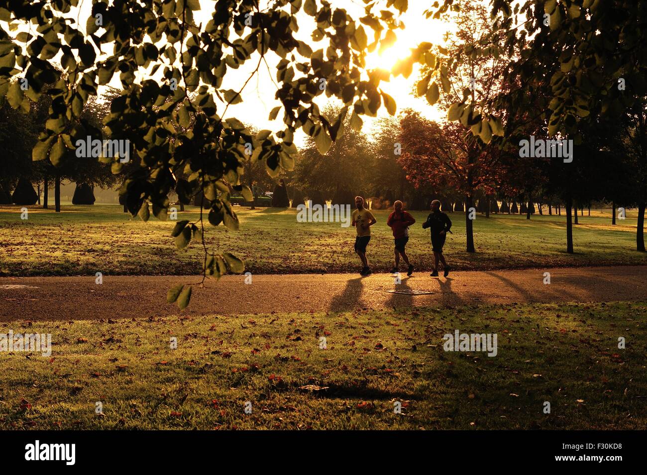 Drei Jogger profitieren Sie von der frühen Morgensonne zu einem Lauftraining Stockfoto