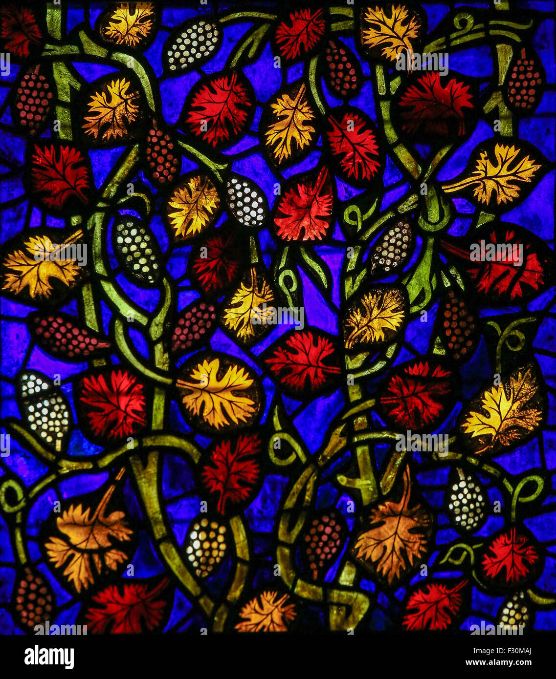 Glasfenster in der Kathedrale von Leon, Kastilien und Leon, Spanien. Stockfoto