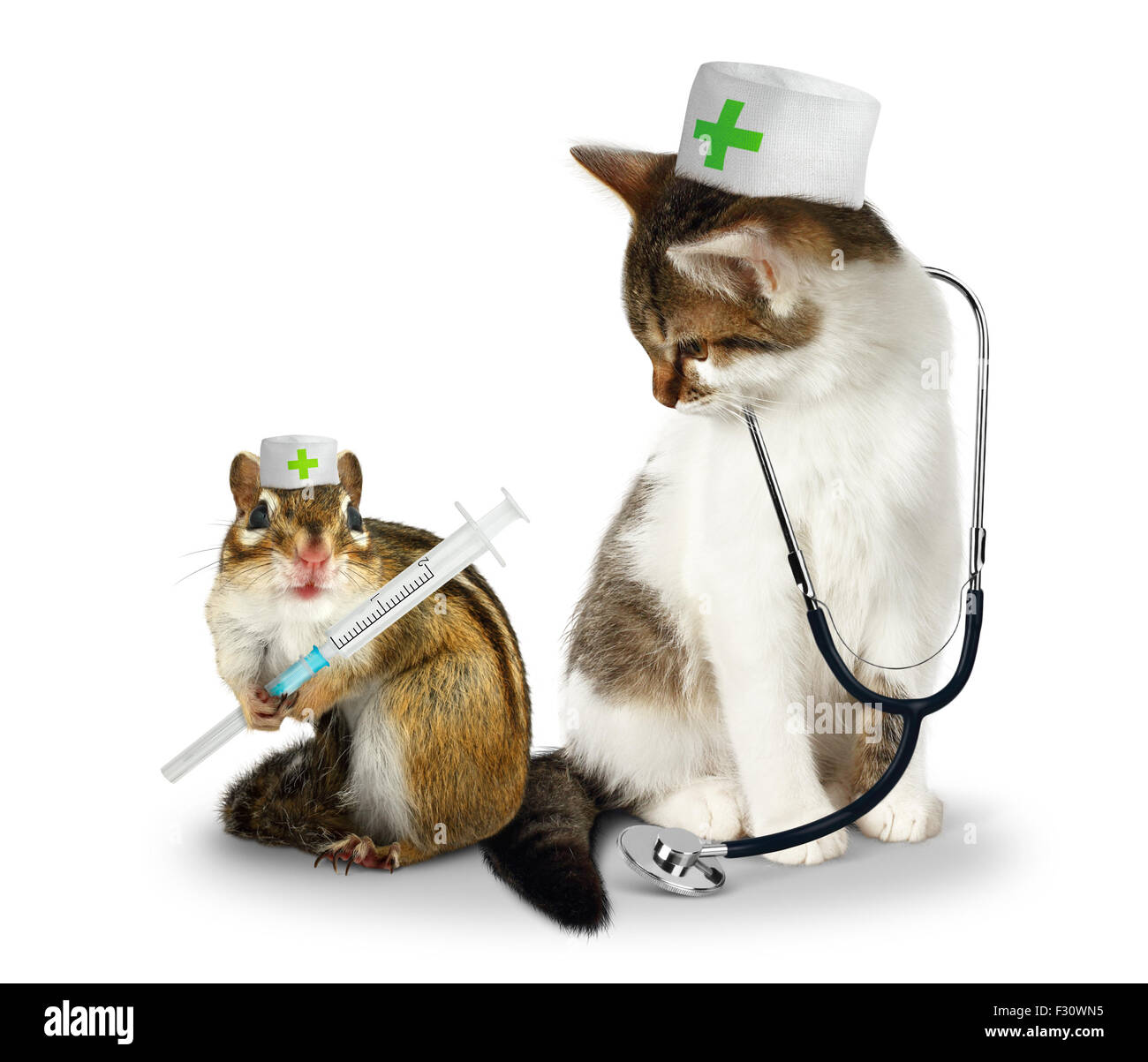 Tierarzt-Konzept, lustige Arzt Streifenhörnchen und Katze mit Phonendoscope und Spritze auf weiß Stockfoto