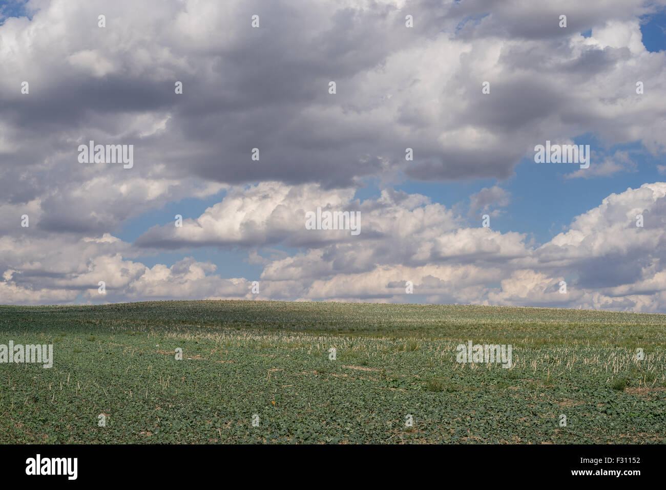 Weißen Cumulus-Wolken am blauen Himmel über Herbst Felder niedriger Schlesien Polen Stockfoto