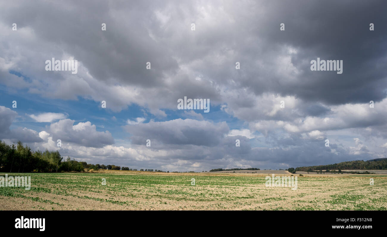 Weißen Cumulus-Wolken am blauen Himmel über Herbst Felder niedriger Schlesien Polen Stockfoto