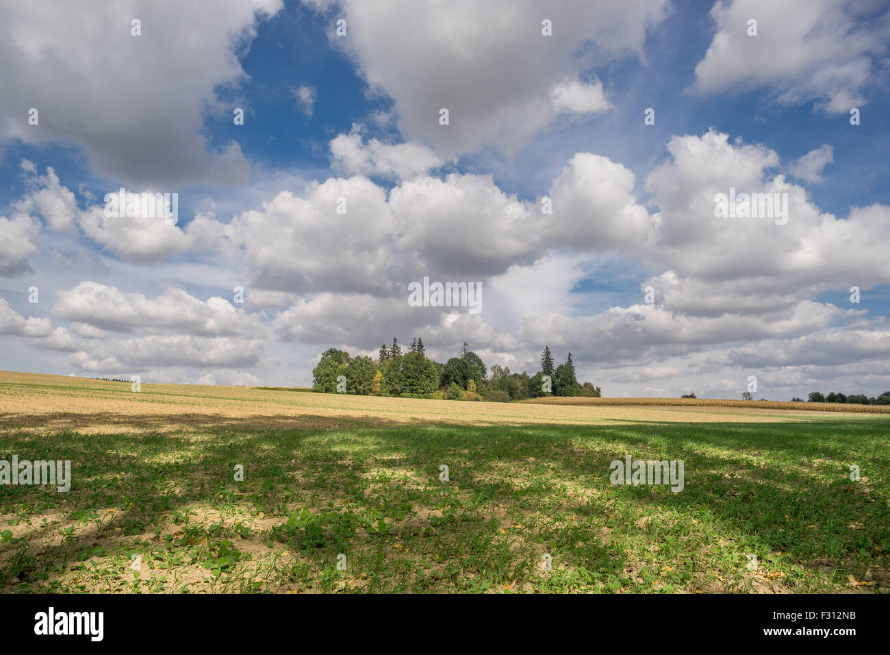 Weißen Cumulus-Wolken am blauen Himmel über Herbst Felder niedriger Schlesien Polen Stockfoto