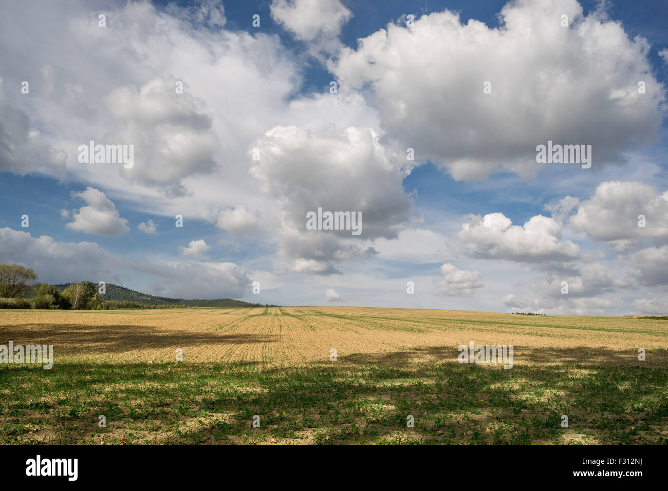 Weißen Cumulus-Wolken am blauen Himmel über Herbst Felder niedriger Schlesien Polen Stockfoto