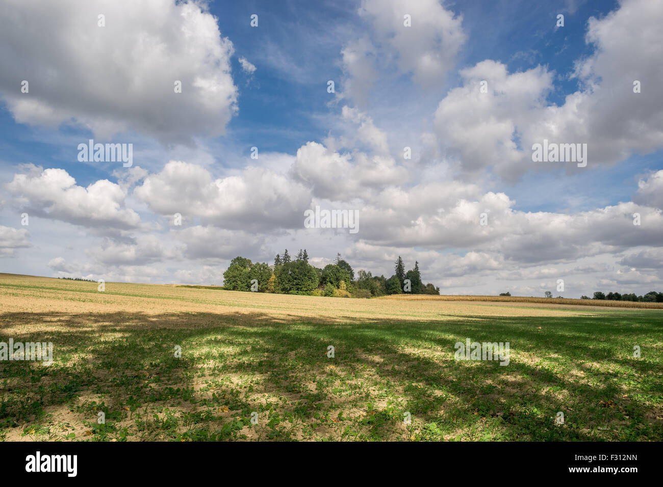 Weißen Cumulus-Wolken am blauen Himmel über Herbst Felder niedriger Schlesien Polen Stockfoto