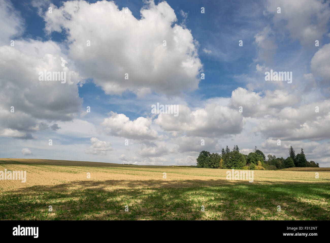 Weißen Cumulus-Wolken am blauen Himmel über Herbst Felder niedriger Schlesien Polen Stockfoto