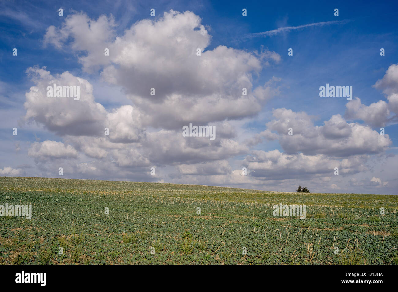 Weißen Cumulus-Wolken am blauen Himmel über Herbst Felder niedriger Schlesien Polen Stockfoto