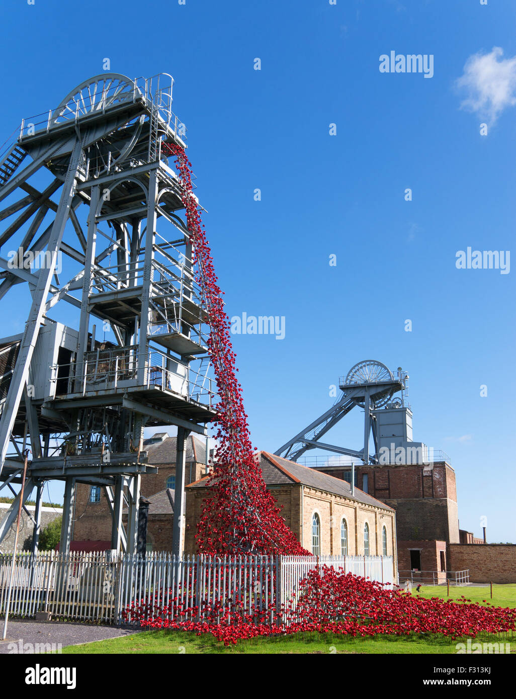 Weinend Fenster mit Keramik Mohnblumen von Paul Cummins und Tom Piper, Woodhorn Zeche, Ashington, Northumberland, England, UK Stockfoto