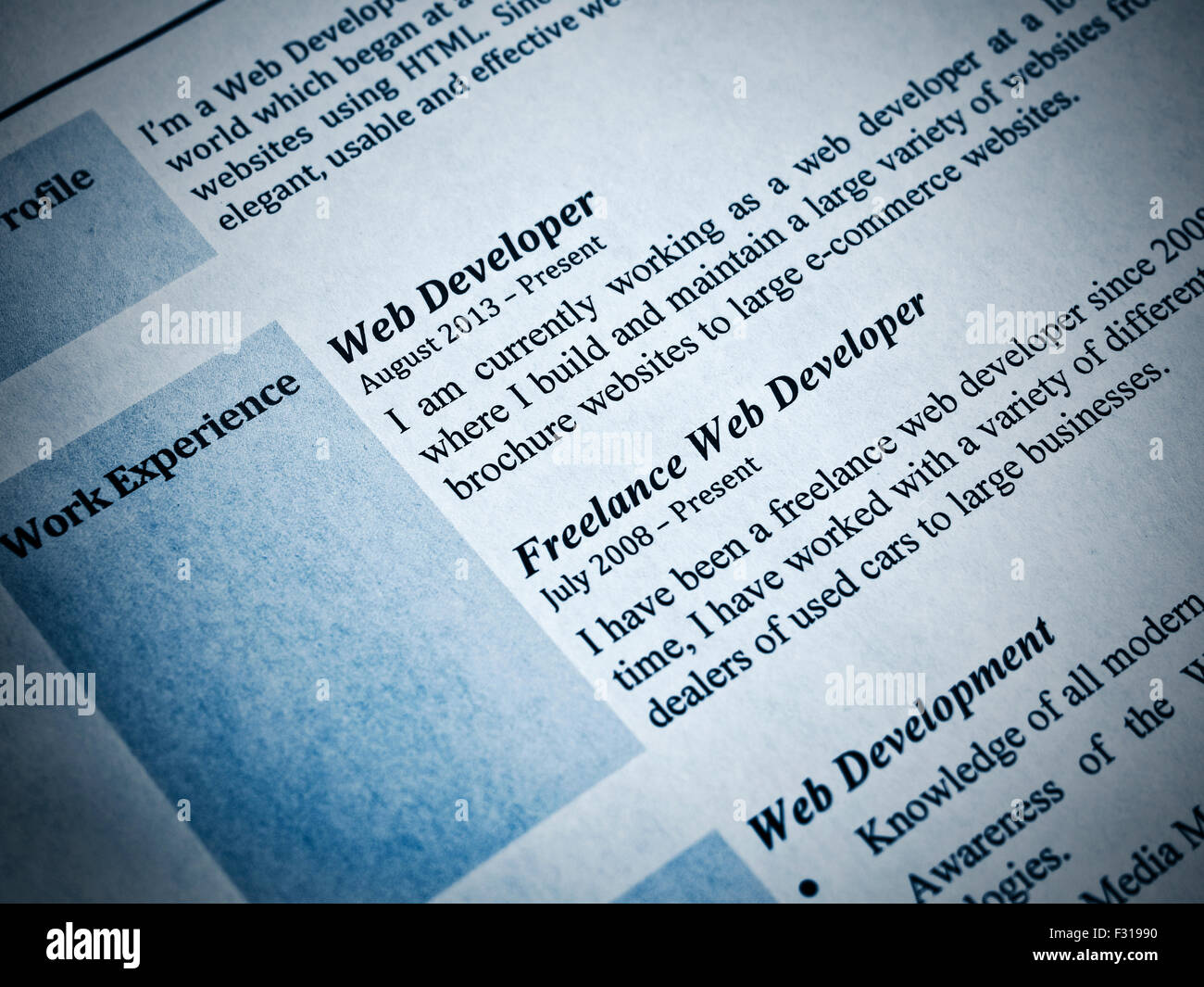 Blaustich Web Developer Curriculum Vitae Nahaufnahme Stockfoto