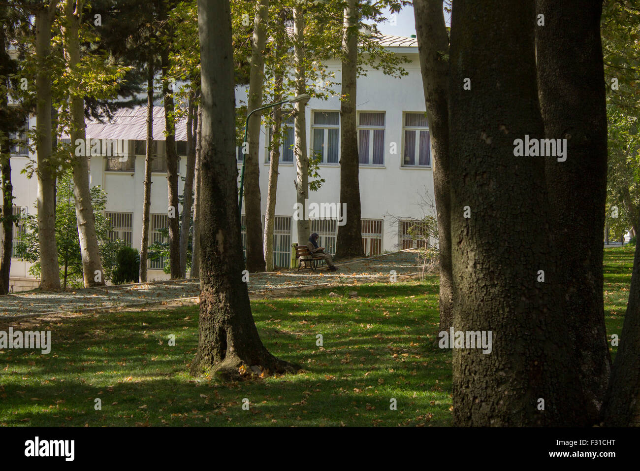 Iranische Frau im Herbst der Sa'dabadPalast in Teheran, Iran