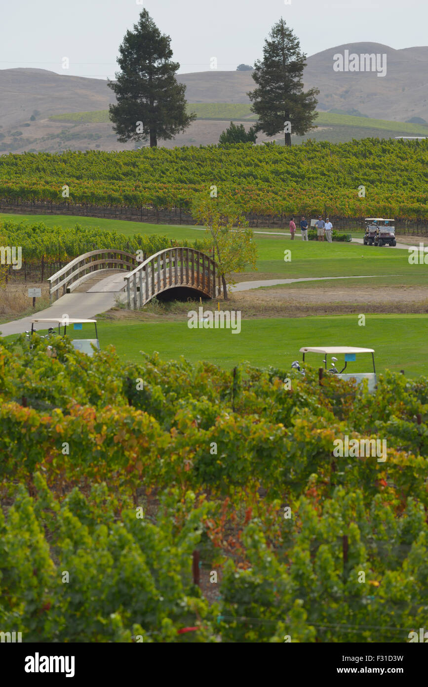Chardonnay-Golfclub und Weinberge, American Canyon CA Stockfoto
