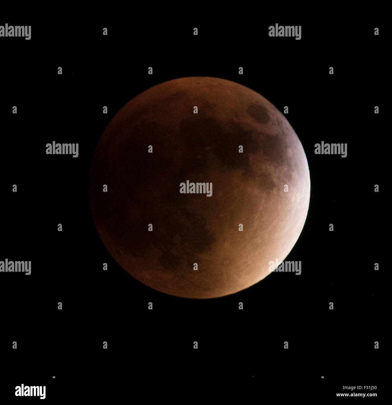 Fort Lauderdale, Florida, USA. 27 Sep, 2015. Die supermoon Mondfinsternis begeistert Massen in Fort Lauderdale, Fl, USA am Sonntag, den 27. September 2015. Viele Bewohner entlang der Florida Küste zu bezeugen die supermoon Mondfinsternis versammelt, die letzte Veranstaltung dieser Art, für weitere 20 Jahre. Credit: Trent dietsche/alamy leben Nachrichten Stockfoto