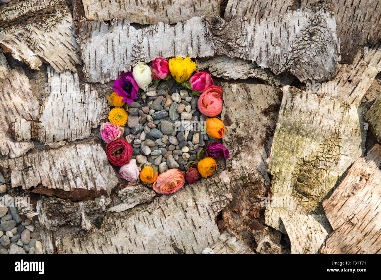 Getrocknete Rosen Blütenblatt Ring auf Hintergrund der Rinde gemacht Stockfoto