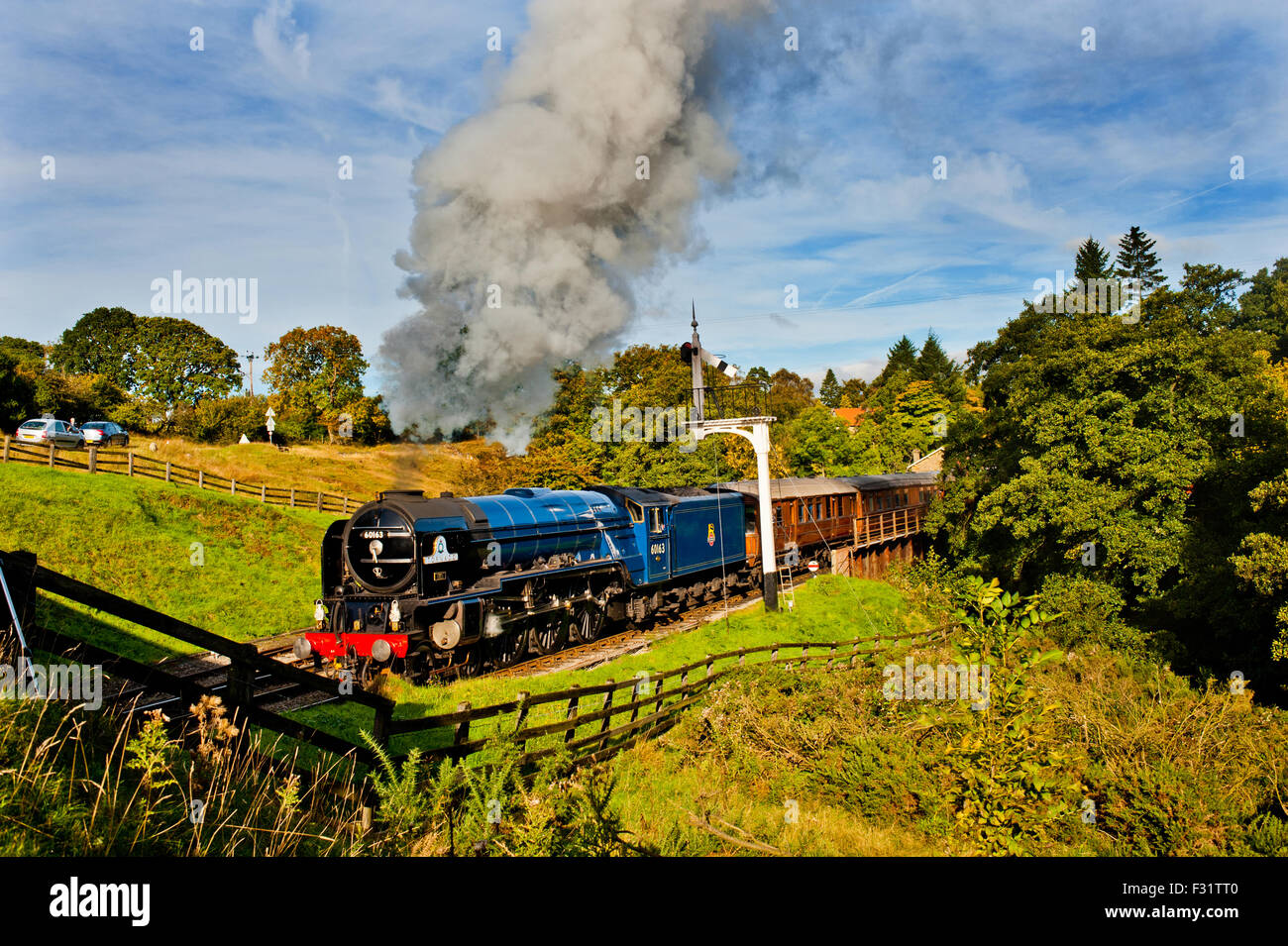 Dampfzug in Goathland, North Yorkshire Moors Railway Stockfoto