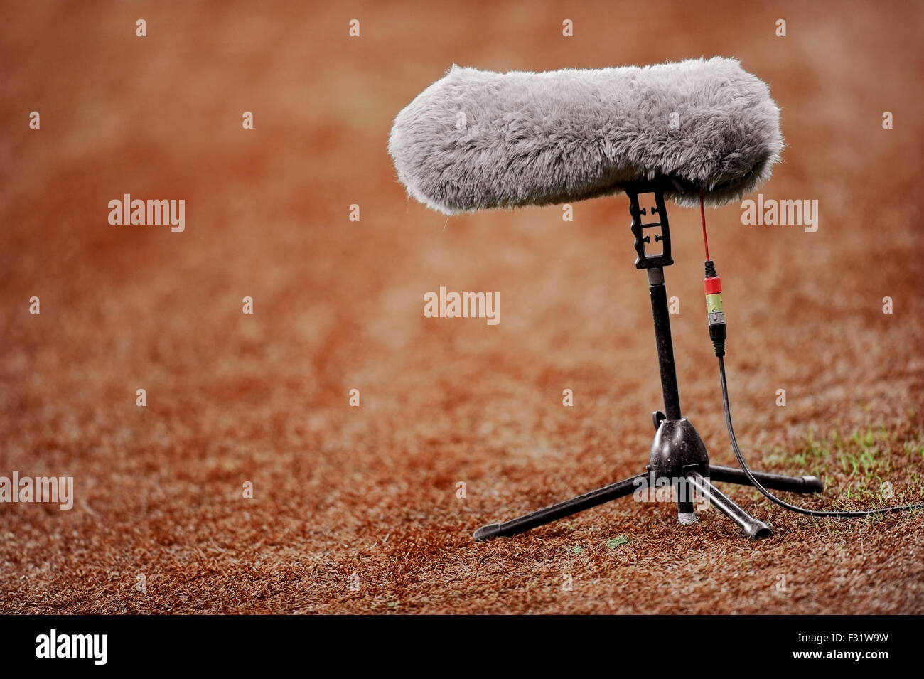 Groß und pelzigen Sport Mikrofon auf einem Fußballfeld Stockfoto