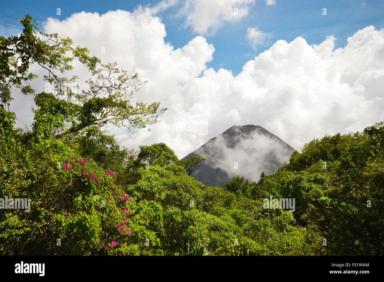 Der perfekte Höhepunkt der aktiv und jung Izalco Vulkans gesehen von einem Aussichtspunkt im Cerro Verde National Park in El Salvador Stockfoto