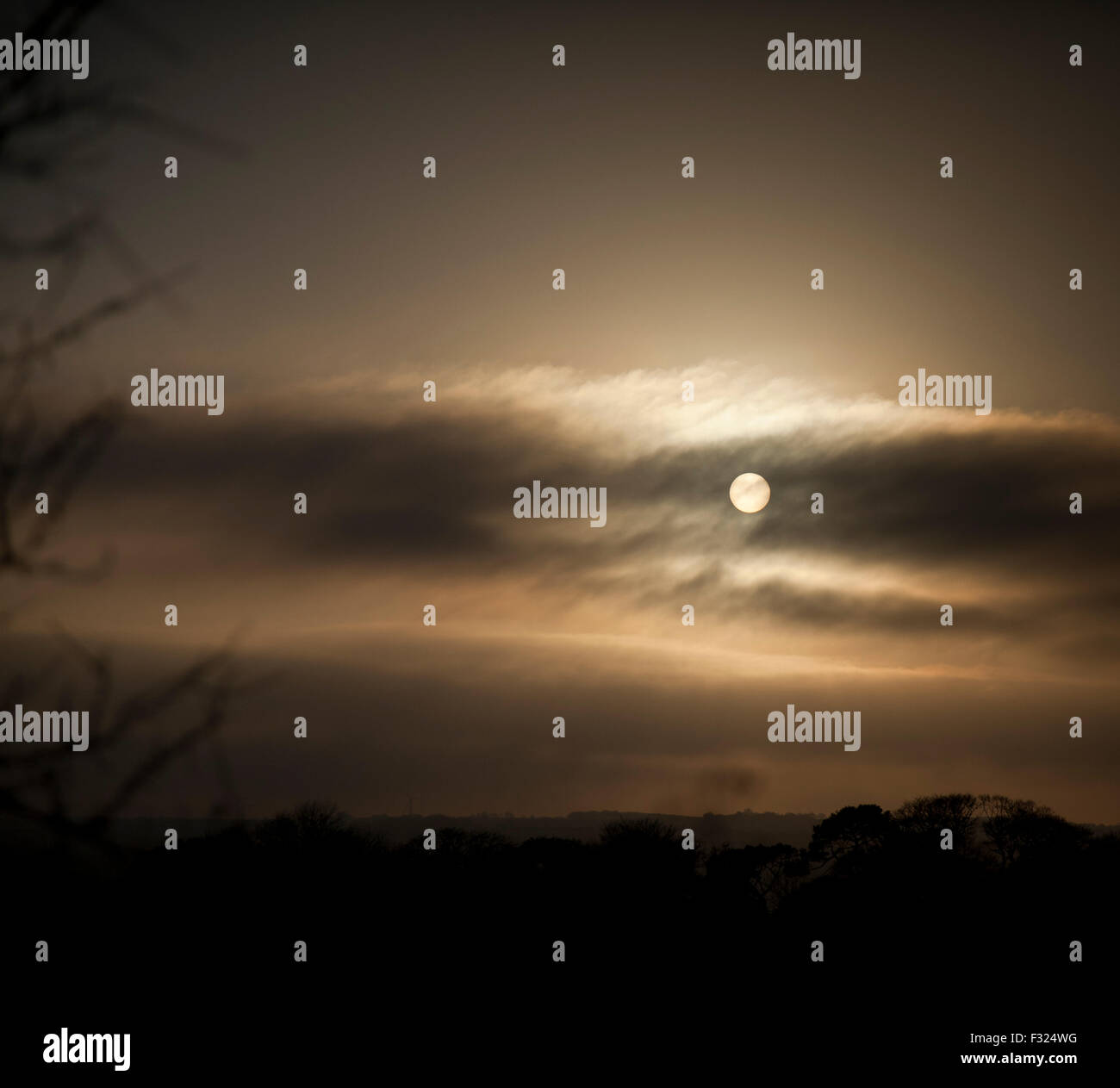 Wintersonne Stockfoto