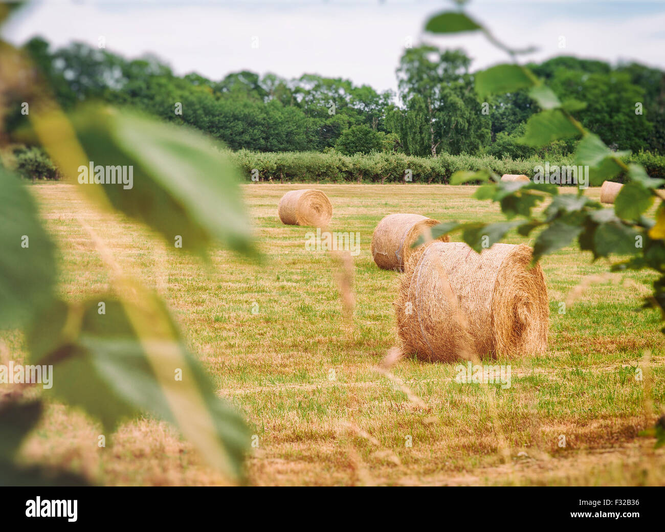 Bild von Heuballen in einem Feld. Schwedische Landschaft. Stockfoto