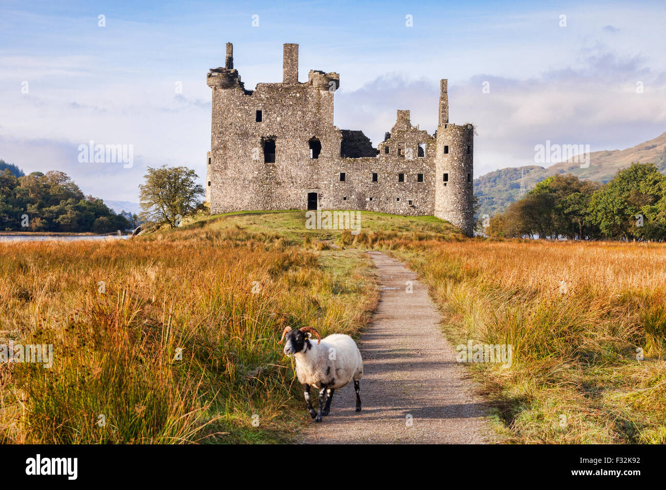Kilchurn Castle, den Weg zu ihm und einem schottischen Blackface ram, Loch Awe, Argyll and Bute, Scotland, UK. Stockfoto