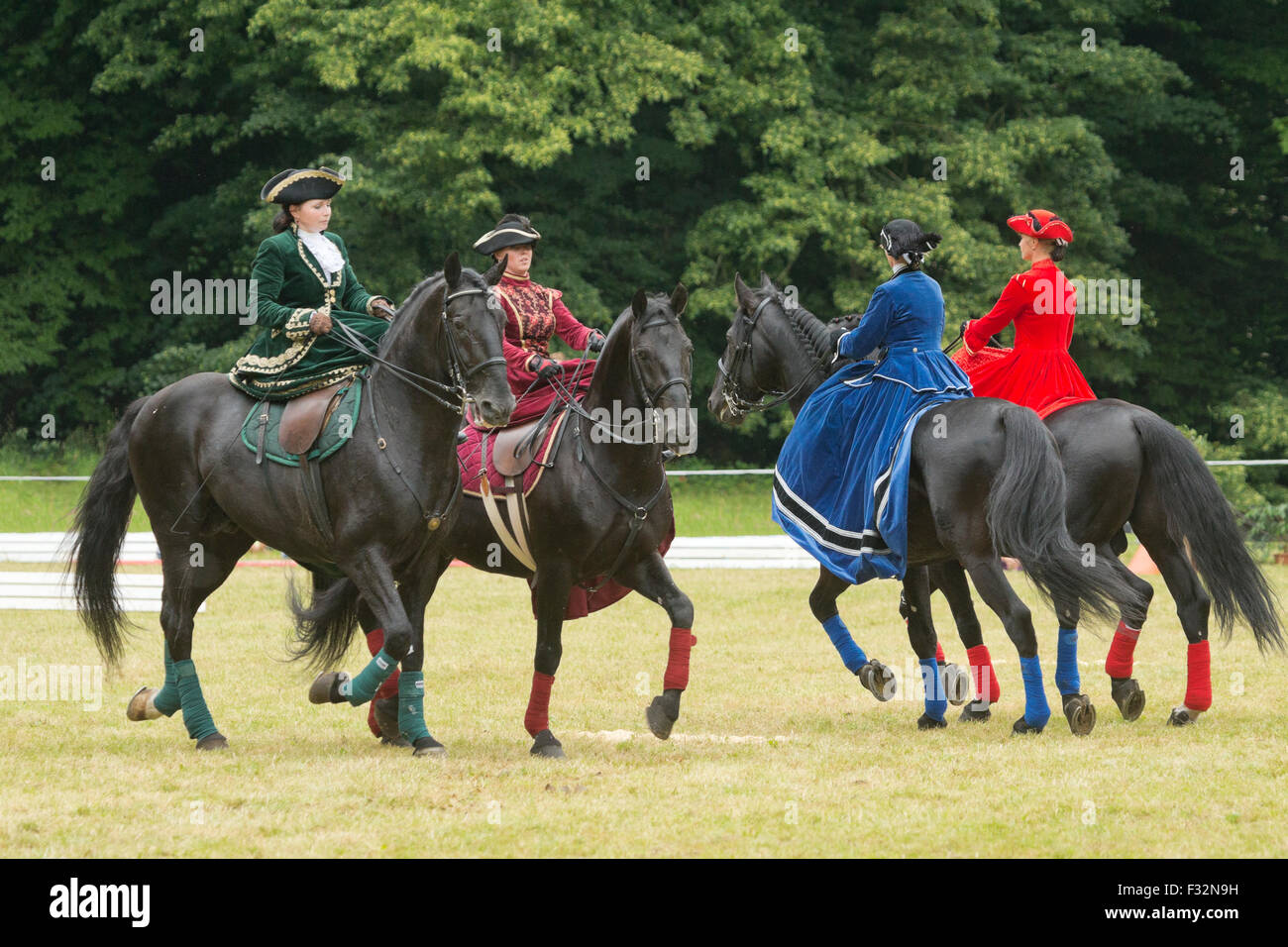Pferd seltene Kladruber Tradition tierische Festival aus Stockfoto