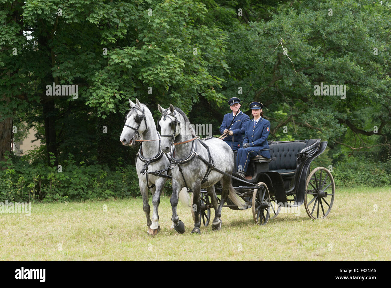Pferd seltene Kladruber Tradition tierische Festival aus Stockfoto