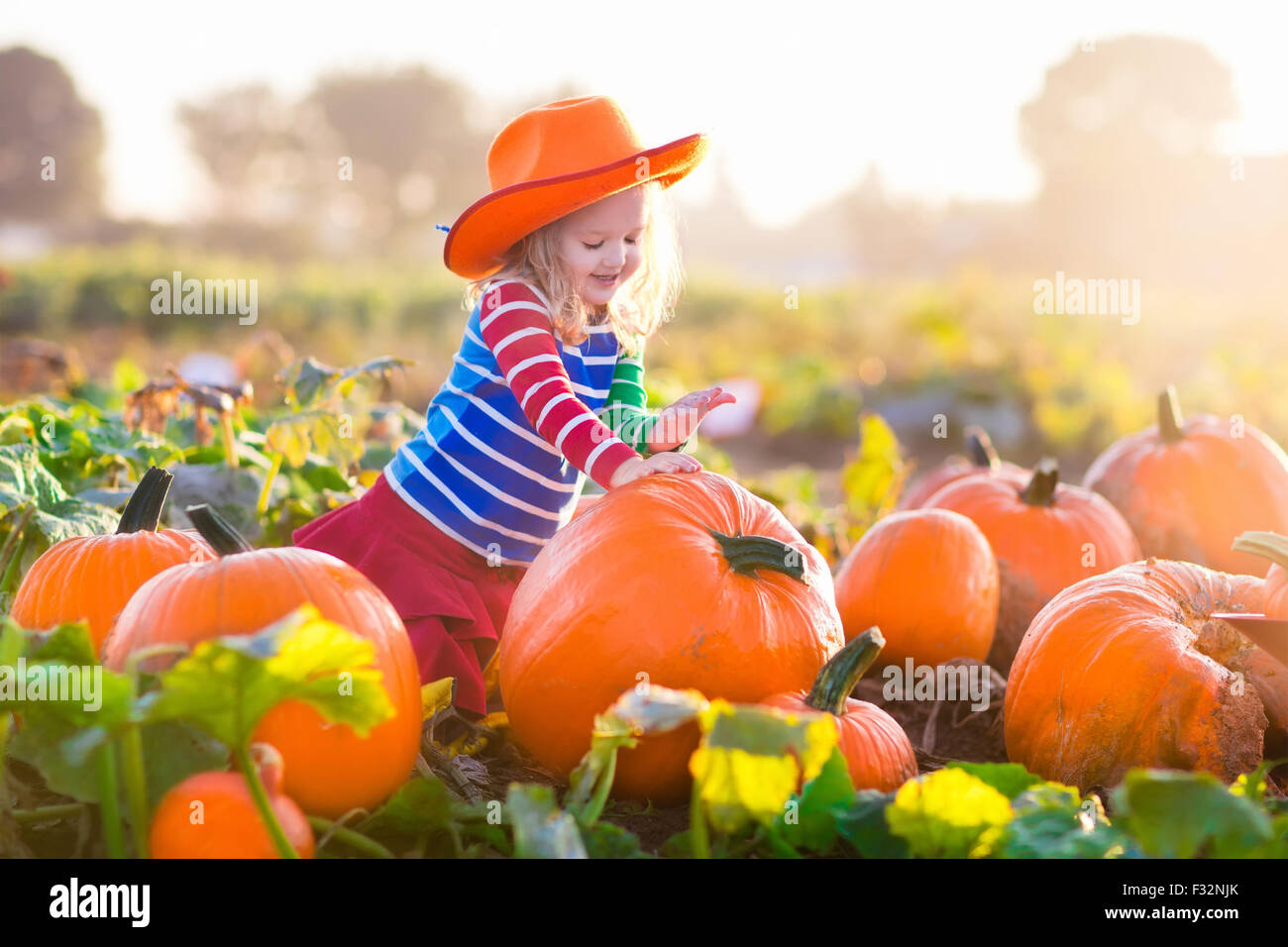 Kleines Mädchen Kommissionierung Kürbisse zu Halloween Pumpkin Patch. Kind im Bereich Squash spielen. Kinder wählen Sie reife Gemüse auf einem Bauernhof Stockfoto