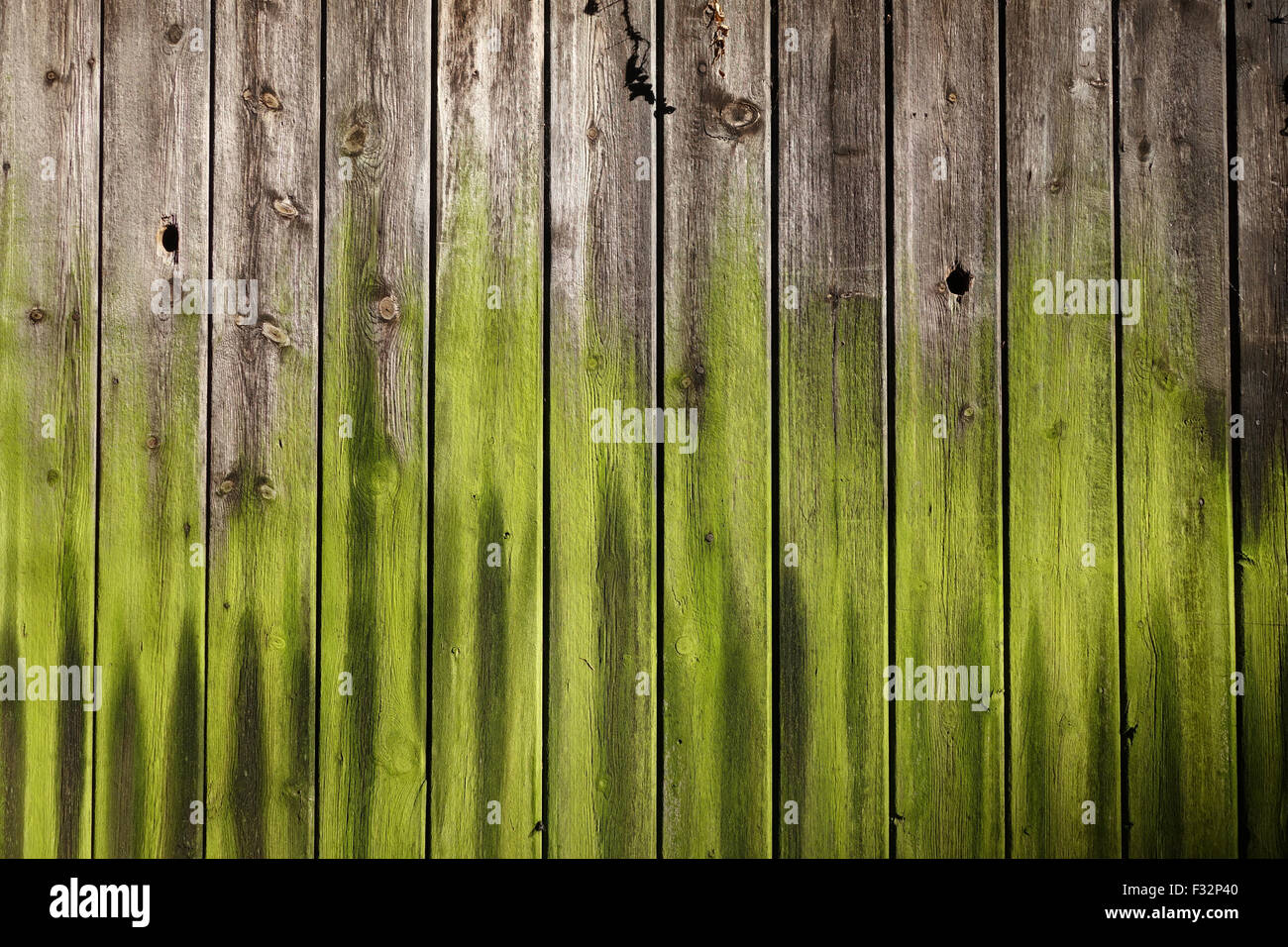Hölzerne Holzschuppen drehen grüne natürliche Farben Natur Natur Kunst Farbmuster Stockfoto