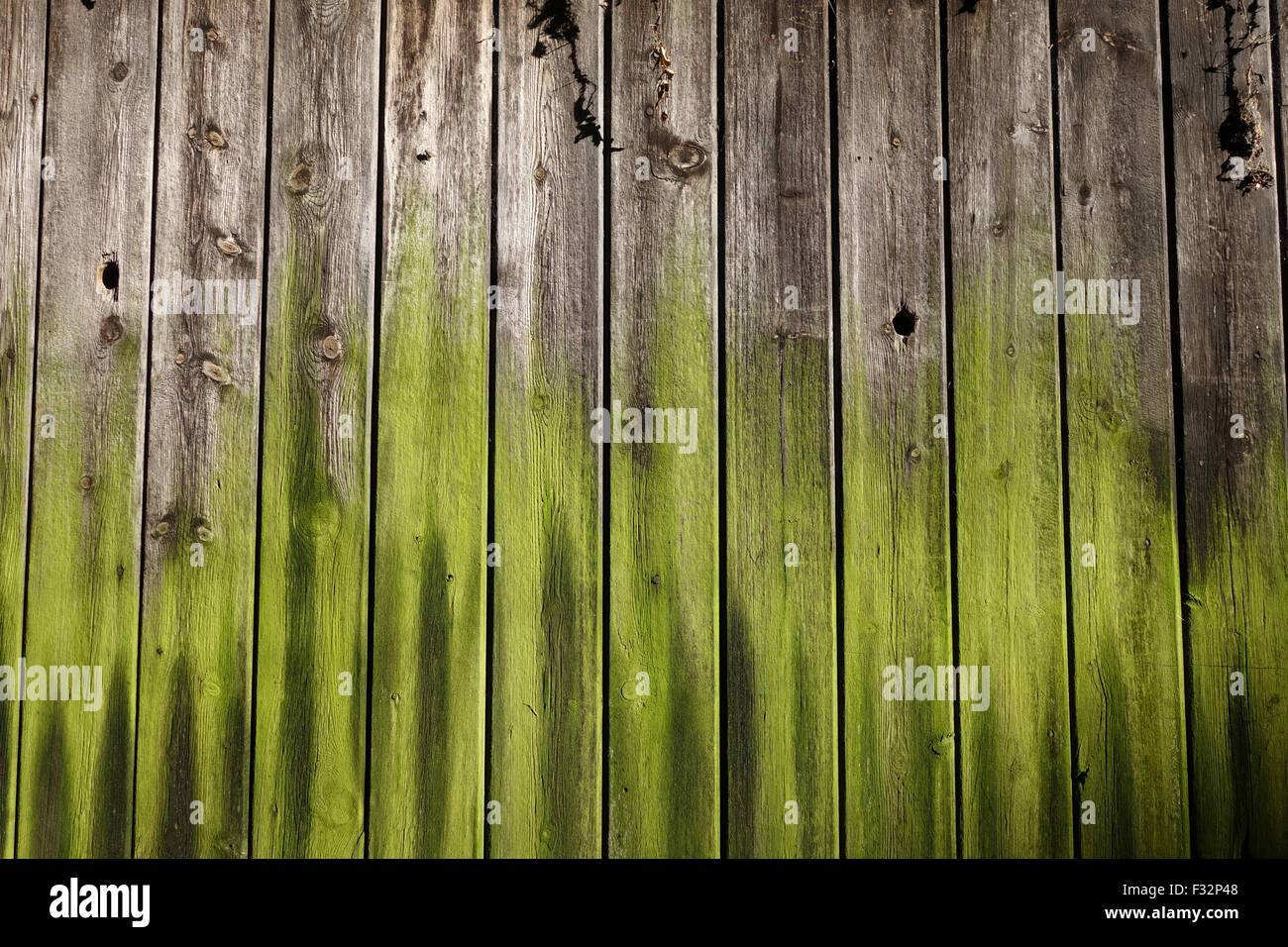 Hölzerne Holzschuppen drehen grüne natürliche Farben Natur Natur Kunst Farbmuster Stockfoto