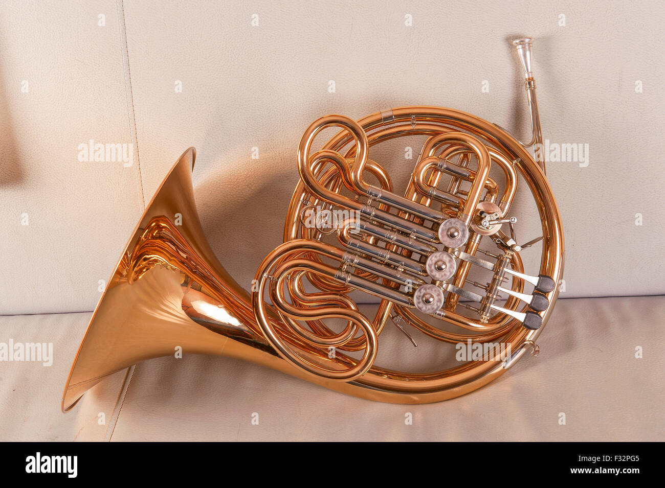 Ein Waldhorn auf grauem Hintergrund Stockfoto